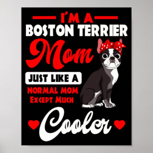 Poster Maman Boston terrier gentleman américain chien de