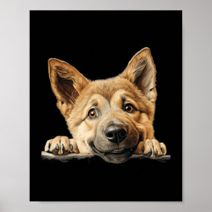 Poster Maman Chien Chinook Papa Regardant Chiot