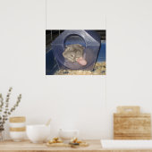 Poster Maman Chinchilla attrape quelques Zzzz (Cuisine)
