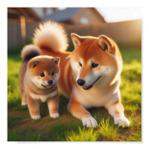 Maman de Shiba Inu et son chiot