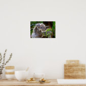 Poster Maman et Baby Koalas (Cuisine)