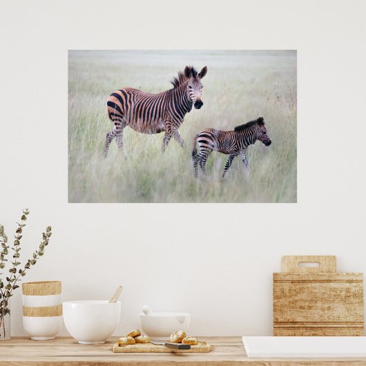 Poster Maman et bébé Zebra (Cuisine)