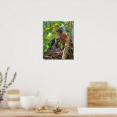 Poster Maman et Robins de bébé (Cuisine)