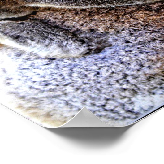 Poster Maman Koala et bébé Joey dans un arbre (Coin)