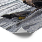 Poster Maman mignonne et Loutres de Mer de Pup (Coin)