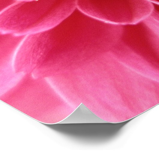 Poster Maman rose (Coin)