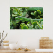 Poster Mamba verte orientale (Dendroaspis Angusticeps) (Cuisine)