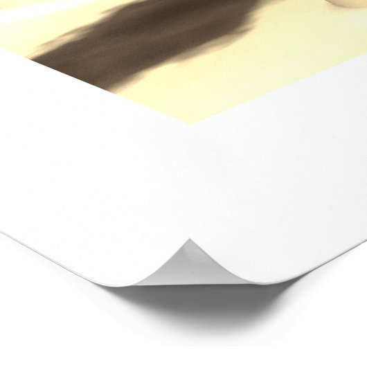 Poster Mamelles - Udders (Coin)