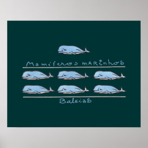 Poster mamíferos marinhos - baleias