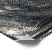 Poster Mamma de Ruby, Mme Ribby (Coin)