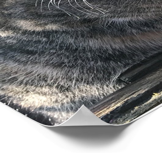 Poster Mamma de Ruby, Mme Ribby (Coin)