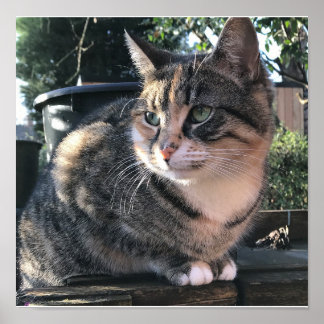 Poster Mamma de Ruby, Mme Ribby