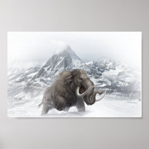 Poster Mammifère laineux Période de glace animale préhist