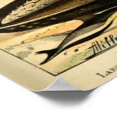 Poster Mammifères vintages Animaux Vieux art d'illustrati (Coin)