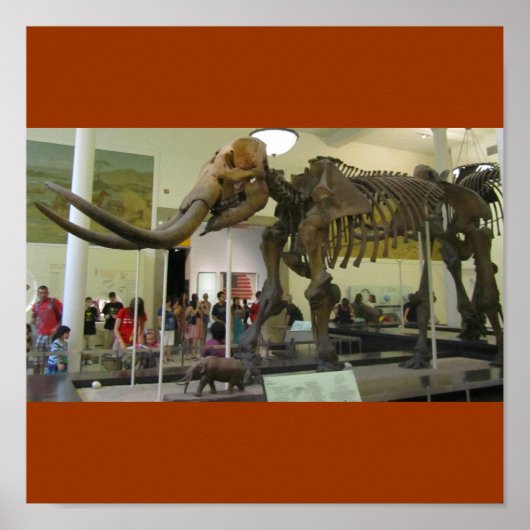 Poster Mammoth ! (Devant)