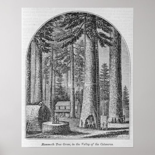 Poster Mammoth dans la Vallée de la (Devant)