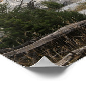 Poster Mammoth Hot Springs, parc national Yellowstone (Coin)