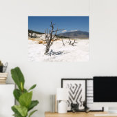 Poster Mammoth Hot Springs Terrasse principale (Bureau à domicile)