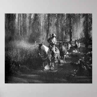 Poster Mammoth Mules