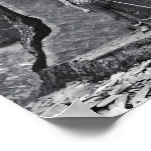 Poster MAMMOTH SEQUOIA c. 1878 (Coin)