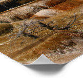 Poster Mammoth Terraces (Coin)