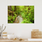 Poster Man Creek II perdu dans le parc national Redwood (Cuisine)