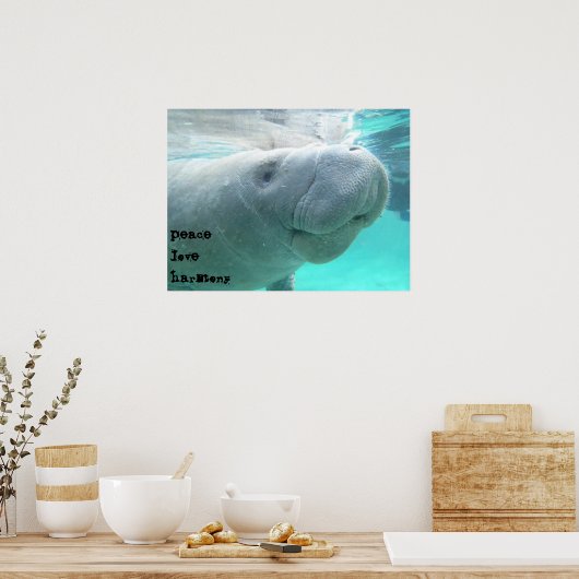 Poster Manatee (Cuisine)
