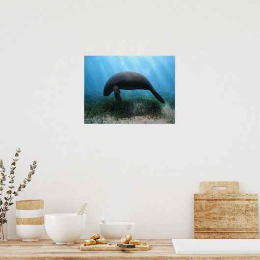 Poster Manatee (Cuisine)