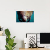 Poster Manatee-Underwater (Floride) (Bureau à domicile)