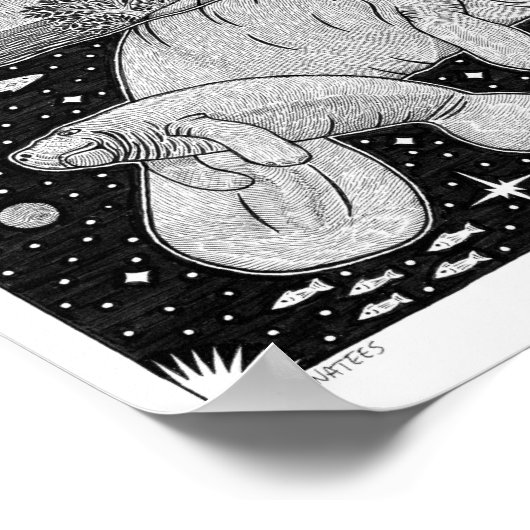 Poster Manatees (Coin)