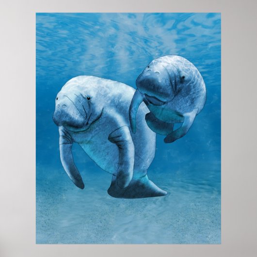 Poster Manatees (Devant)