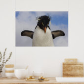 Poster Manchot de Hopkins Eudyptes chrysocome (Cuisine)