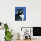 Poster Manchot de Hoppe (Eudyptes chrysocome) (Bureau à domicile)