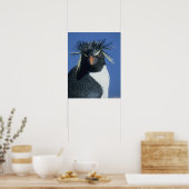 Poster Manchot de Hoppe (Eudyptes chrysocome) (Cuisine)