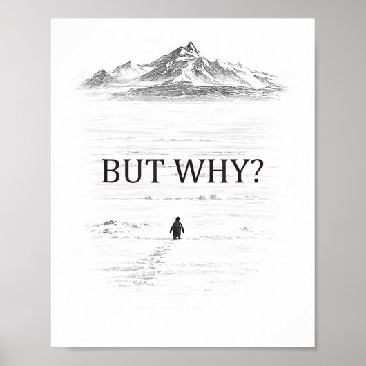 Poster Manchot Mais Pourquoi Montagnes (Devant)
