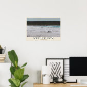 Poster Manchots le long d'une côte méridionale (Bureau à domicile)