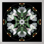 Poster Mandala #06 (Devant)