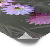 Poster Mandala 5 avec poème (Coin)