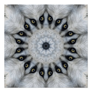 Poster Mandala du loup Yeux féroces et symétrie velue