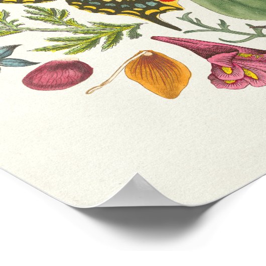 Poster Mandala papillon (Coin)