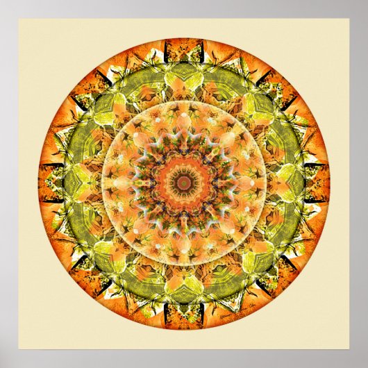 Poster Mandalas of Deep Trust, No 10 (Devant)