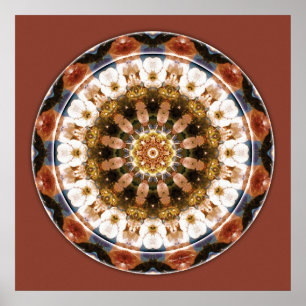 Poster Mandalas of Deep Trust, No 11