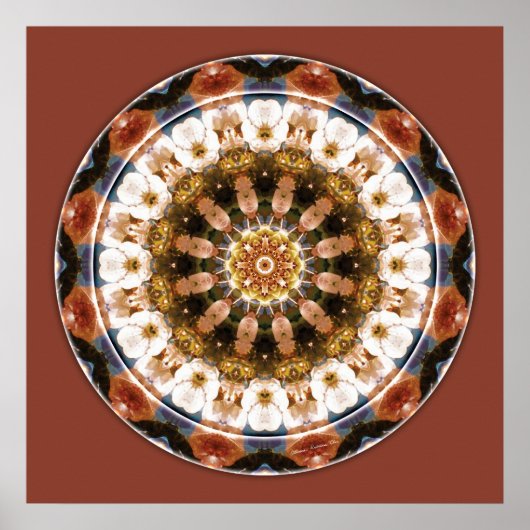 Poster Mandalas of Deep Trust, No 11 (Devant)