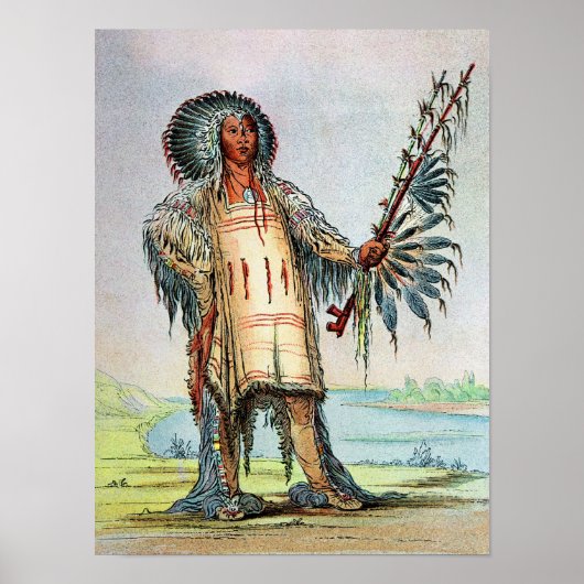 Poster Mandan Indian Ha-Na-Tah-Muah, chef Wolf (Devant)