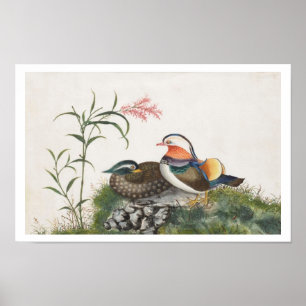 Poster Mandarin Canard peinture chinoise