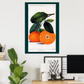 Poster Mandarin Orange (Bureau à domicile)