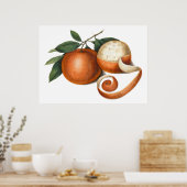 Poster Mandarin Oranges Antique Chinese Painting (Cuisine)