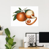 Poster Mandarin Oranges Antique Chinese Painting (Bureau à domicile)
