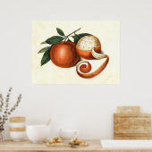 Poster Mandarin Oranges Peinture chinoise antique (Cuisine)