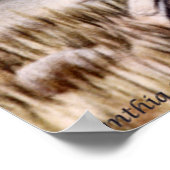 Poster Mandarin Pair (Coin)